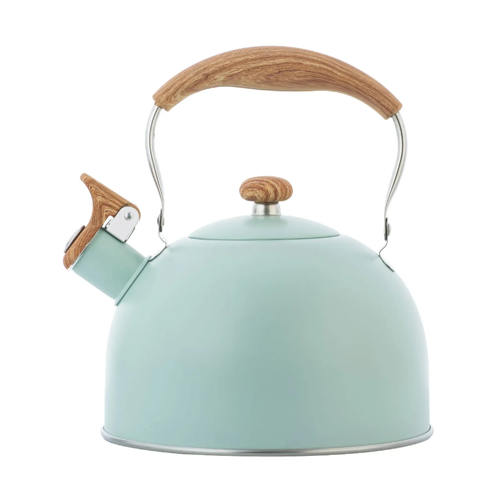 Castmoor Stainless Whistling Kettle, 2.5 L in Green